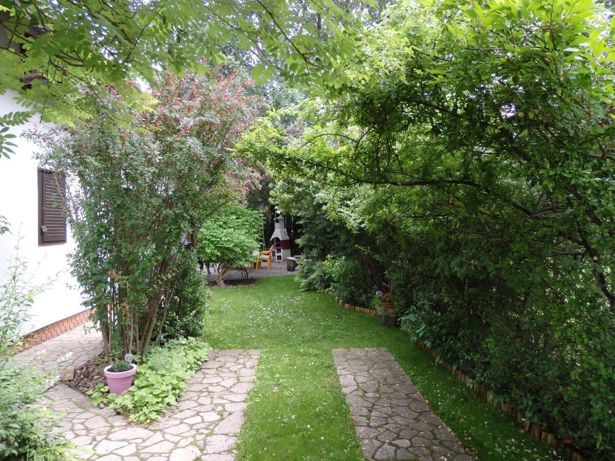Orgona Vendeghaz Villa Velence Eksteriør bilde